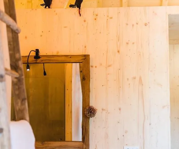 Elegant 50m² + Pool דירה אלבדוס